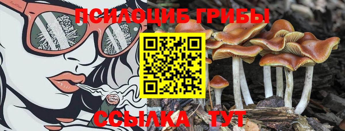 Галлюциногенные грибы прущие грибы Зеленокумск