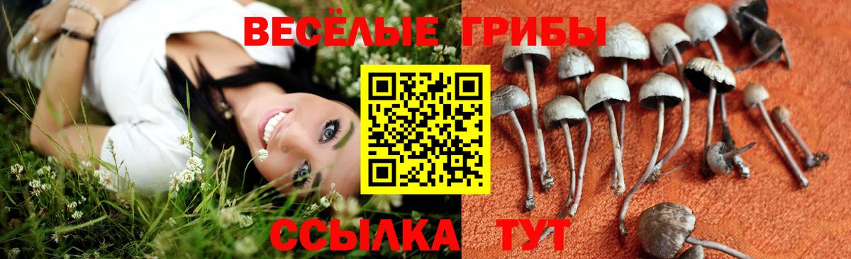 Зеленокумск  Галлюциногенные грибы ЛСД  Вход с VPN 